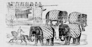 Hippozoonomadon, La Minerve, 16 août 1862. BAnQ.